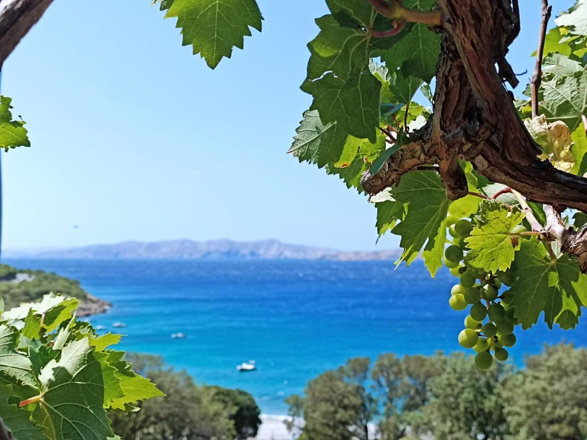 Apartments Did Ive Sibinj Krmpotski Εξωτερικό φωτογραφία